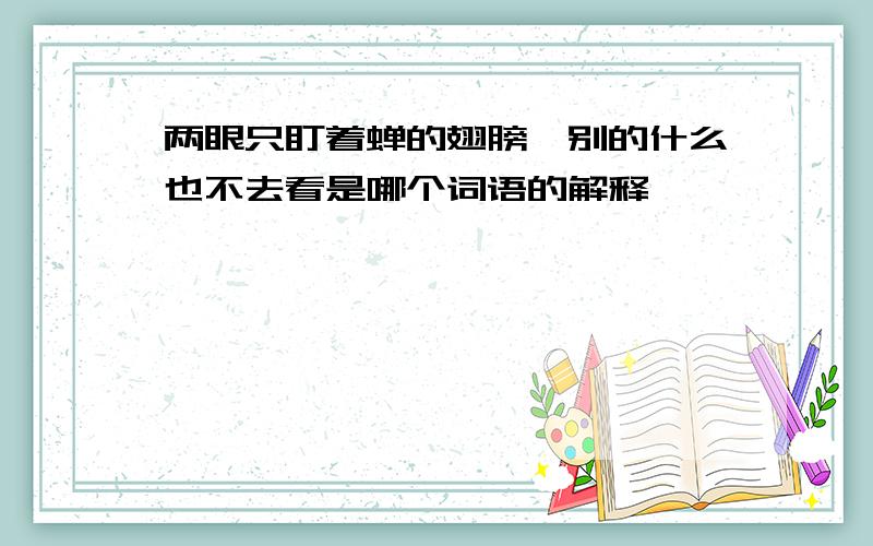 两眼只盯着蝉的翅膀,别的什么也不去看是哪个词语的解释