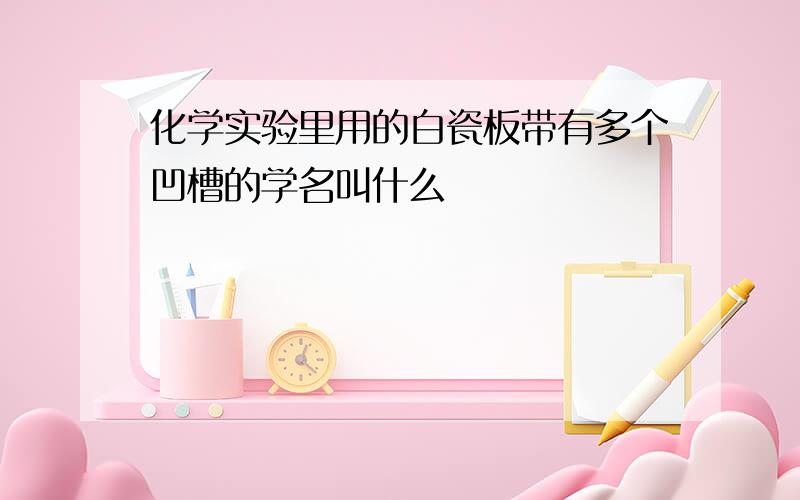 化学实验里用的白瓷板带有多个凹槽的学名叫什么