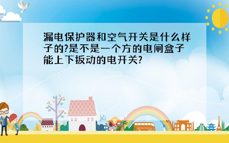 漏电保护器和空气开关是什么样子的?是不是一个方的电闸盒子能上下扳动的电开关?