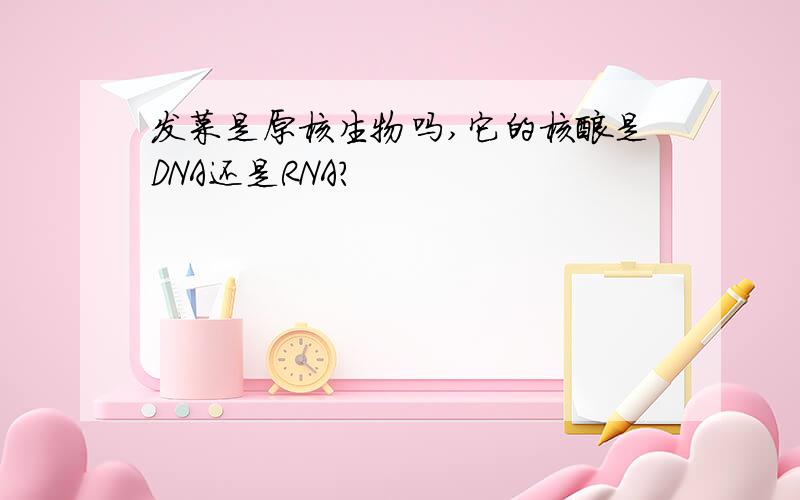 发菜是原核生物吗,它的核酸是DNA还是RNA?