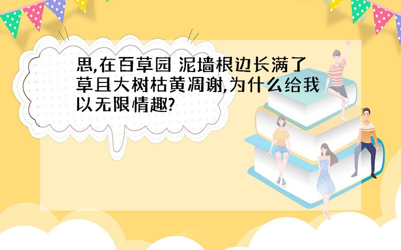 思,在百草园 泥墙根边长满了草且大树枯黄凋谢,为什么给我以无限情趣?