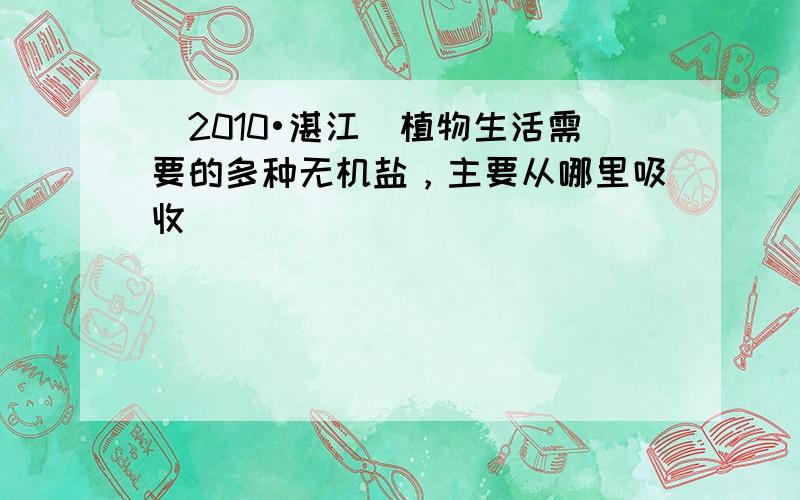 （2010•湛江）植物生活需要的多种无机盐，主要从哪里吸收（　　）