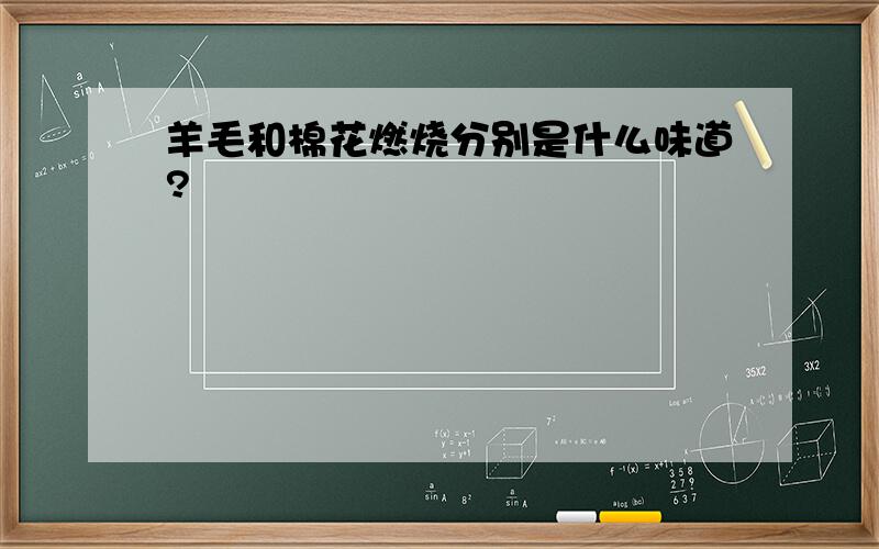 羊毛和棉花燃烧分别是什么味道?