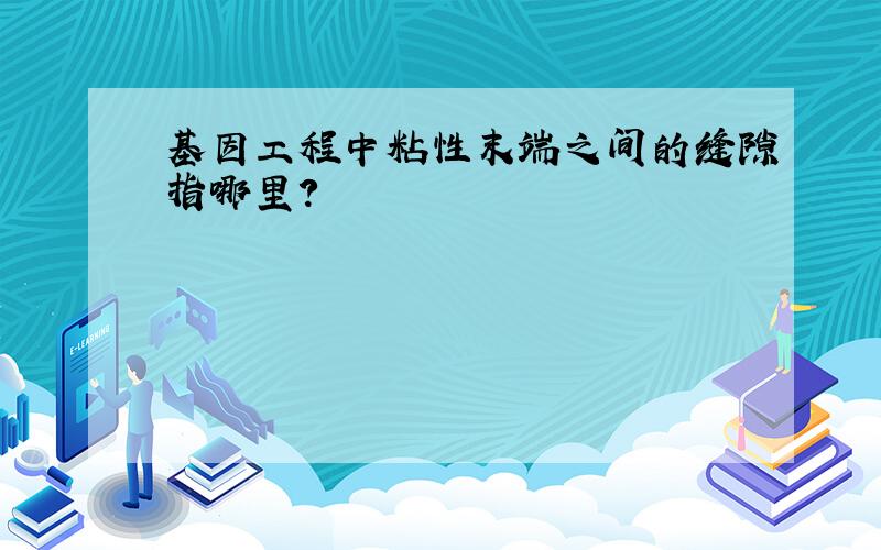 基因工程中粘性末端之间的缝隙指哪里?