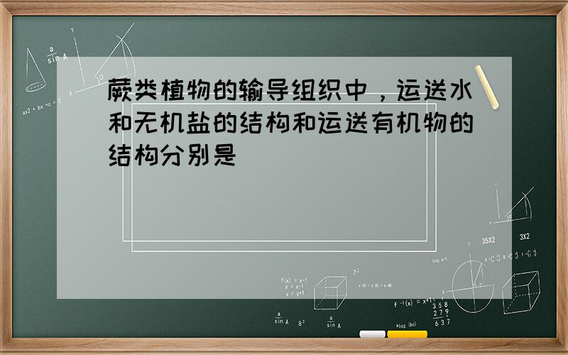 蕨类植物的输导组织中，运送水和无机盐的结构和运送有机物的结构分别是（　　）