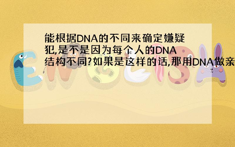 能根据DNA的不同来确定嫌疑犯,是不是因为每个人的DNA结构不同?如果是这样的话,那用DNA做亲子鉴定又是?