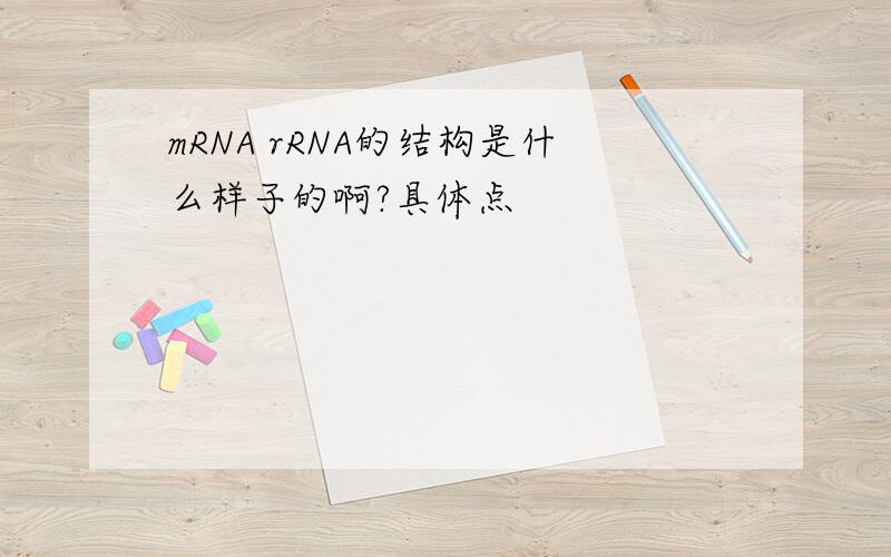 mRNA rRNA的结构是什么样子的啊?具体点