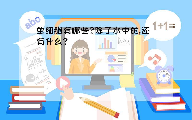 单细胞有哪些?除了水中的,还有什么?