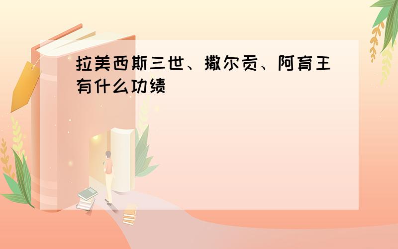 拉美西斯三世、撒尔贡、阿育王有什么功绩