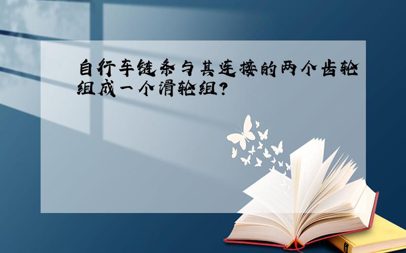 自行车链条与其连接的两个齿轮组成一个滑轮组?