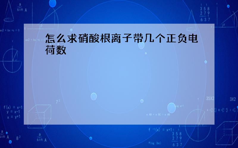 怎么求硝酸根离子带几个正负电荷数