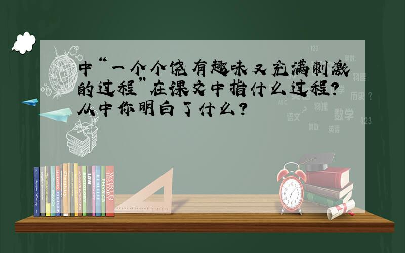 中“一个个饶有趣味又充满刺激的过程”在课文中指什么过程?从中你明白了什么?