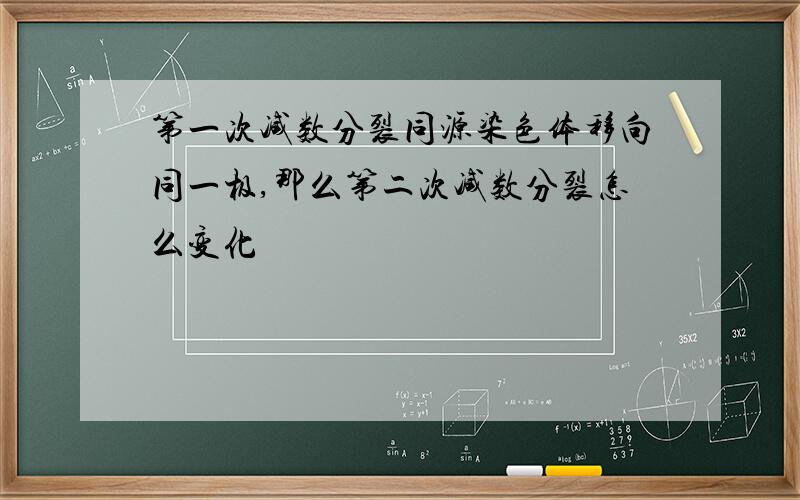 第一次减数分裂同源染色体移向同一极,那么第二次减数分裂怎么变化