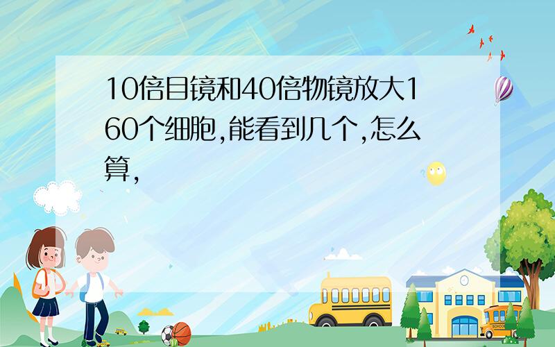 10倍目镜和40倍物镜放大160个细胞,能看到几个,怎么算,