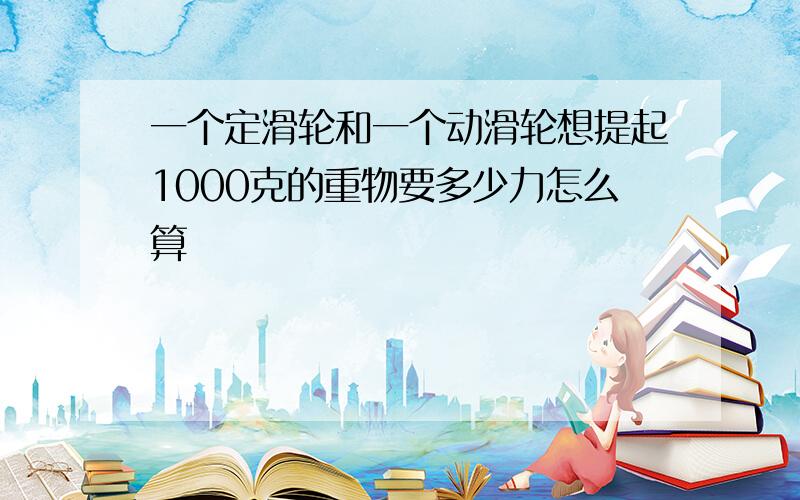 一个定滑轮和一个动滑轮想提起1000克的重物要多少力怎么算