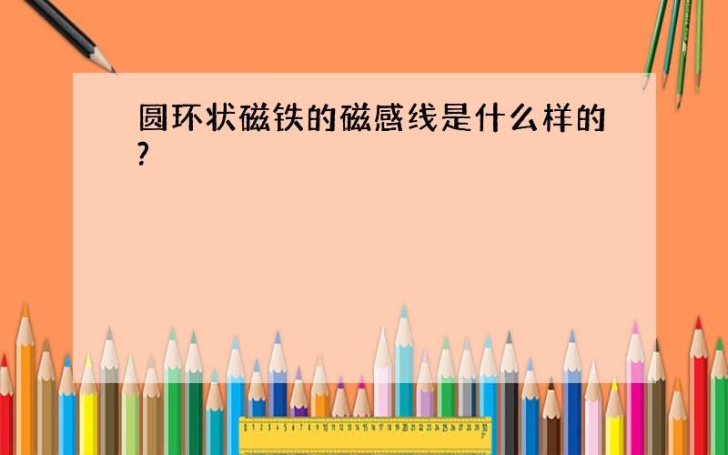 圆环状磁铁的磁感线是什么样的?