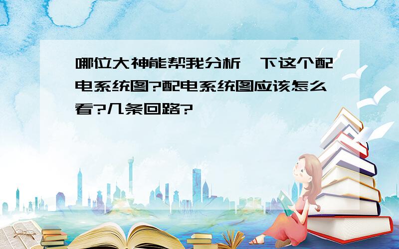 哪位大神能帮我分析一下这个配电系统图?配电系统图应该怎么看?几条回路?