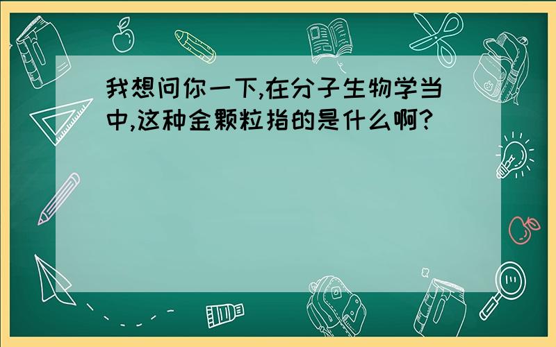 我想问你一下,在分子生物学当中,这种金颗粒指的是什么啊?