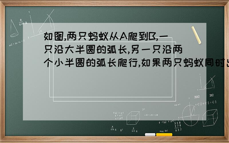 如图,两只蚂蚁从A爬到B,一只沿大半圆的弧长,另一只沿两个小半圆的弧长爬行,如果两只蚂蚁同时出发,按照同样的速度,谁先到