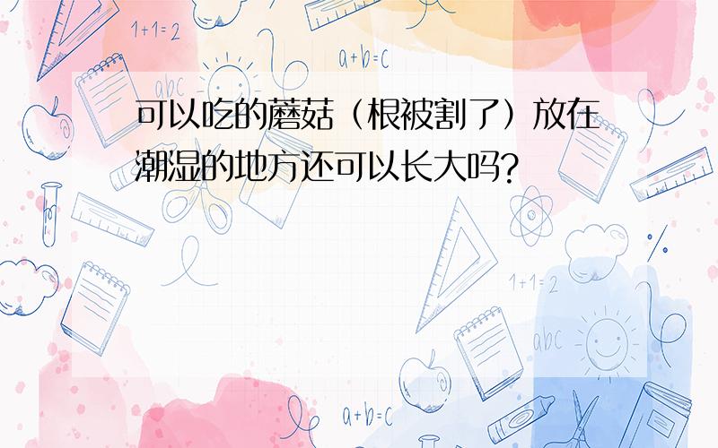 可以吃的蘑菇（根被割了）放在潮湿的地方还可以长大吗?