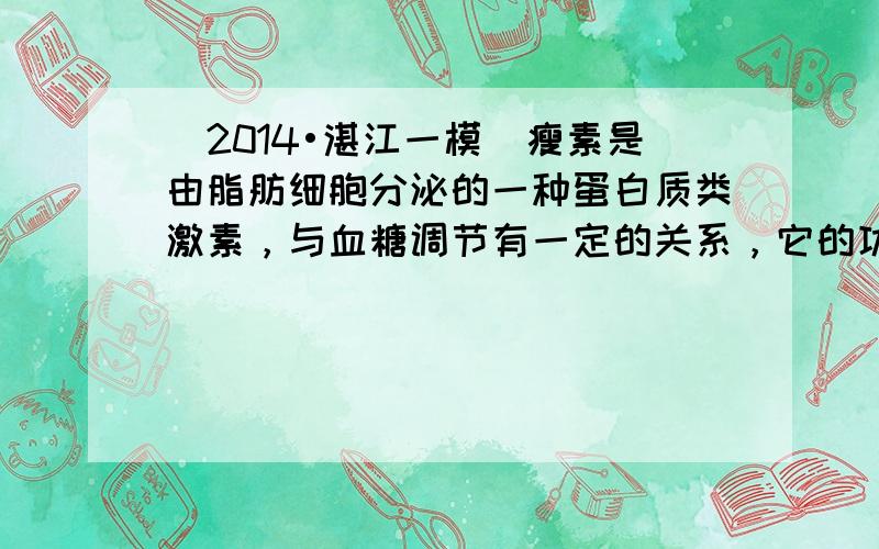 （2014•湛江一模）瘦素是由脂肪细胞分泌的一种蛋白质类激素，与血糖调节有一定的关系，它的功能主要表现在对脂肪及体重的调