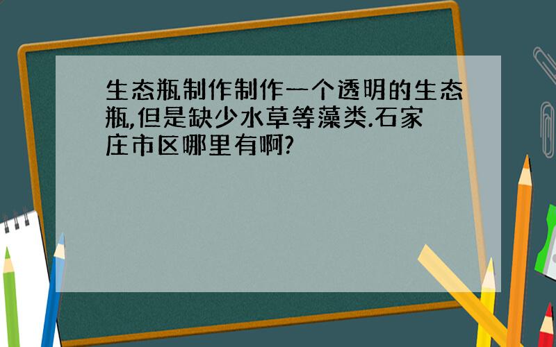 生态瓶制作制作一个透明的生态瓶,但是缺少水草等藻类.石家庄市区哪里有啊?