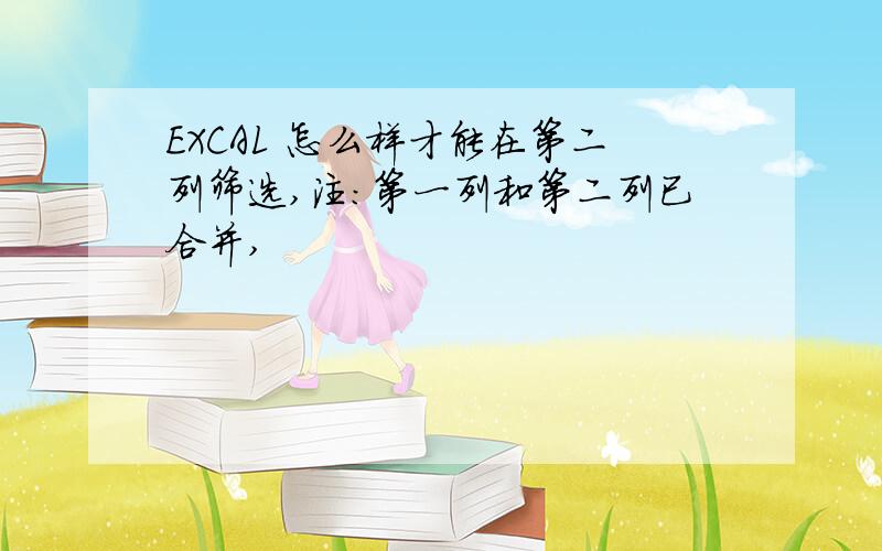 EXCAL 怎么样才能在第二列筛选,注：第一列和第二列已合并,