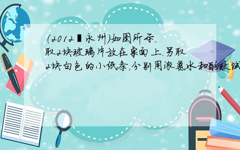 （2012•永州）如图所示，取2块玻璃片放在桌面上．另取2块白色的小纸条，分别用浓氨水和酚酞试液浸湿后贴在玻璃片上，然后