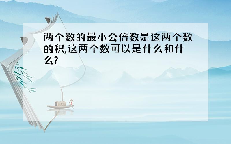 两个数的最小公倍数是这两个数的积,这两个数可以是什么和什么?