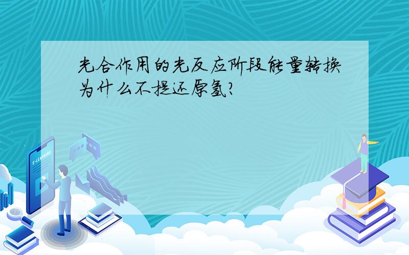 光合作用的光反应阶段能量转换为什么不提还原氢?