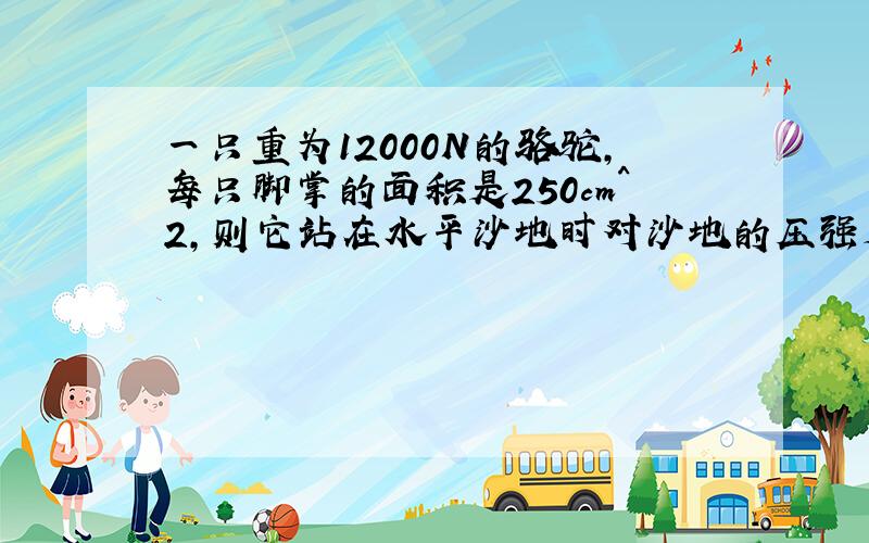 一只重为12000N的骆驼,每只脚掌的面积是250cm^2,则它站在水平沙地时对沙地的压强是多少pa?