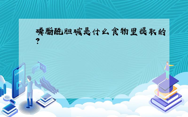 磷脂酰胆碱是什么食物里提取的?