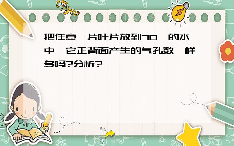 把任意一片叶片放到70℃的水中,它正背面产生的气孔数一样多吗?分析?