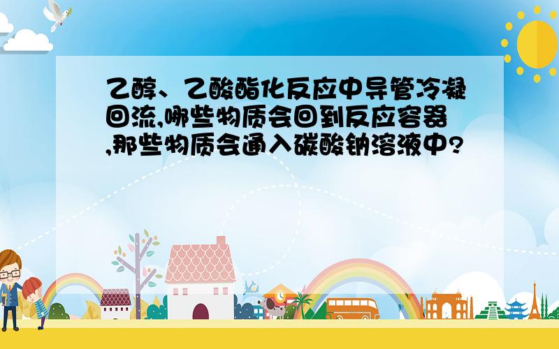 乙醇、乙酸酯化反应中导管冷凝回流,哪些物质会回到反应容器,那些物质会通入碳酸钠溶液中?