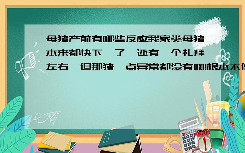 母猪产前有哪些反应我家类母猪本来都快下崽了,还有一个礼拜左右,但那猪一点异常都没有啊!根本不像要下崽的猪!求教：有那些症