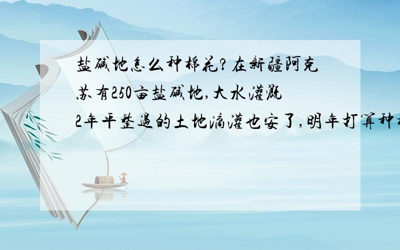 盐碱地怎么种棉花?在新疆阿克苏有250亩盐碱地,大水灌溉2年平整过的土地滴灌也安了,明年打算种棉花.用什么有机肥好点?鸡