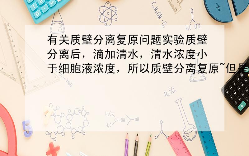 有关质壁分离复原问题实验质壁分离后，滴加清水，清水浓度小于细胞液浓度，所以质壁分离复原~但是这时为什么就默认细胞液浓度比