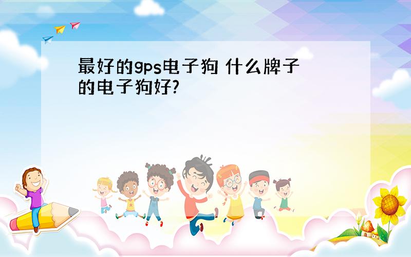 最好的gps电子狗 什么牌子的电子狗好?