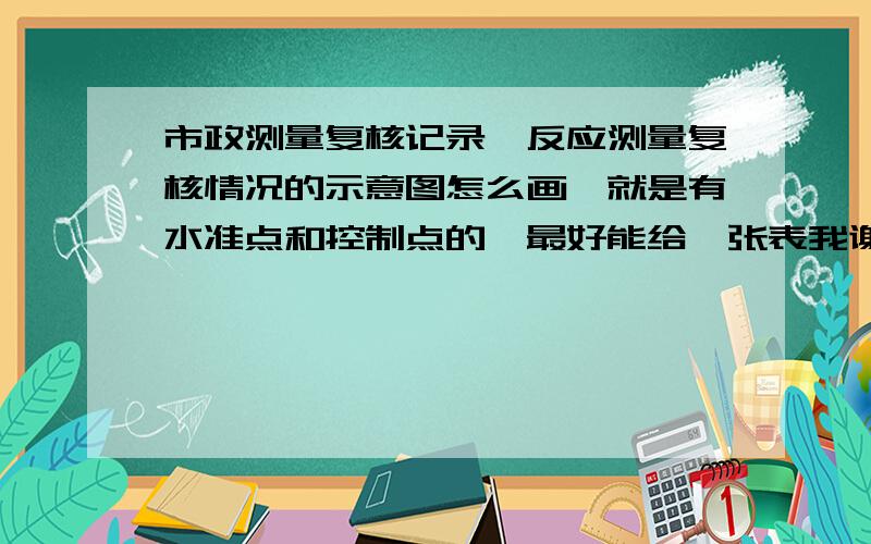 市政测量复核记录,反应测量复核情况的示意图怎么画,就是有水准点和控制点的,最好能给一张表我谢谢了