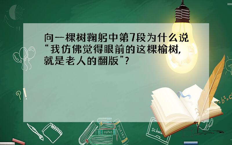 向一棵树鞠躬中第7段为什么说“我仿佛觉得眼前的这棵榆树,就是老人的翻版”?