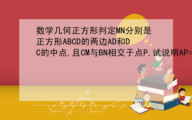 数学几何正方形判定MN分别是正方形ABCD的两边AD和DC的中点,且CM与BN相交于点P,试说明AP=AB