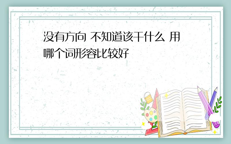 没有方向 不知道该干什么 用哪个词形容比较好