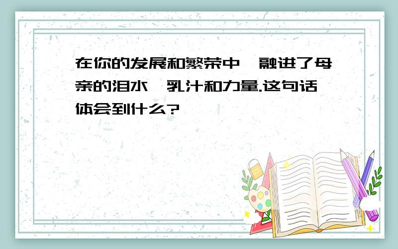 在你的发展和繁荣中,融进了母亲的泪水、乳汁和力量.这句话体会到什么?