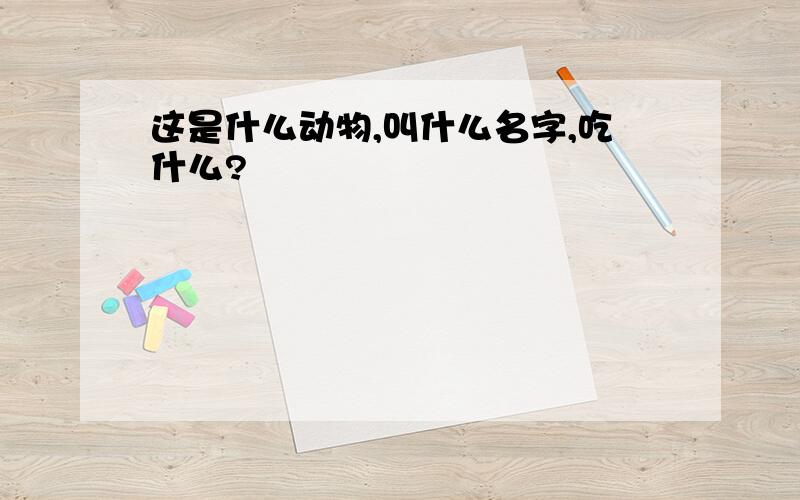 这是什么动物,叫什么名字,吃什么?