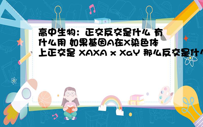 高中生物：正交反交是什么 有什么用 如果基因A在X染色体上正交是 XAXA x XaY 那么反交是什么样子的?