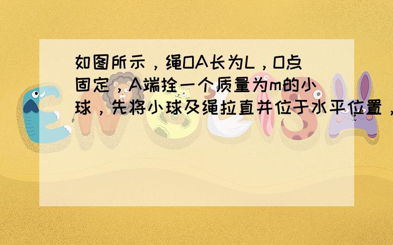 如图所示，绳OA长为L，O点固定，A端拴一个质量为m的小球，先将小球及绳拉直并位于水平位置，由静止释放，当小球摆到最低点