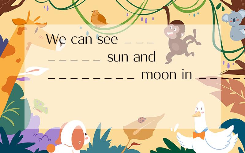 We can see ________ sun and ________ moon in ________ pictur