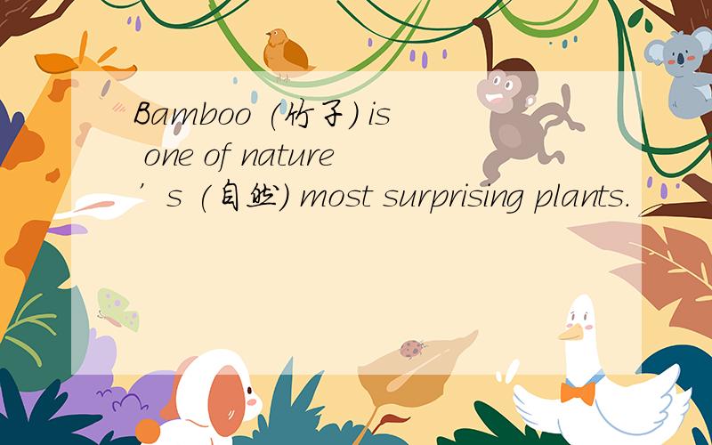 Bamboo (竹子) is one of nature’s (自然) most surprising plants.