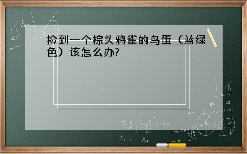 捡到一个棕头鸦雀的鸟蛋（蓝绿色）该怎么办?