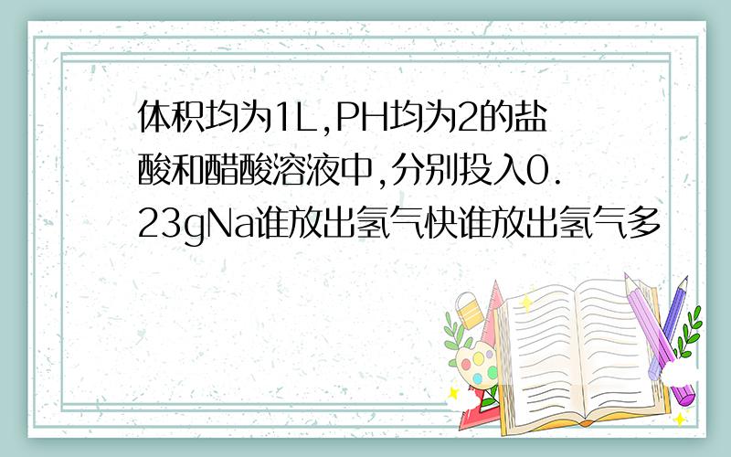 体积均为1L,PH均为2的盐酸和醋酸溶液中,分别投入0.23gNa谁放出氢气快谁放出氢气多